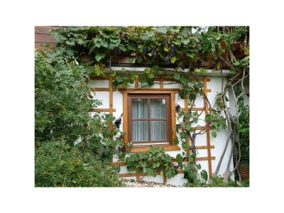 Apartment Bio-Appartement Tauern mit finn. Sauna/Terrasse - Outdoor photo 18