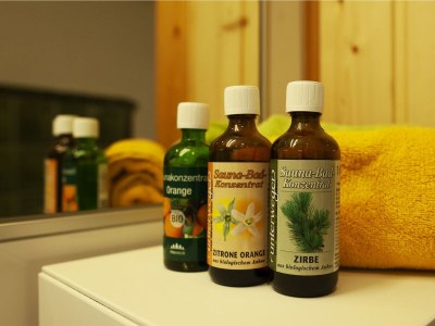 Apartment Bio-Appartement Tauern mit finn. Sauna/Terrasse - Features photo 40