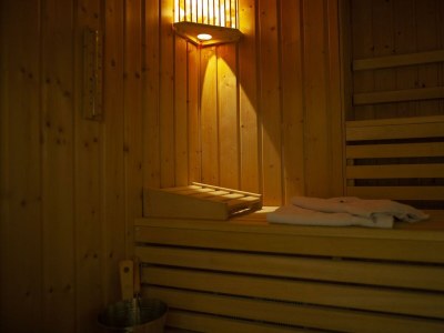 Apartment Bio-Appartement Tauern mit finn. Sauna/Terrasse - Features photo 42