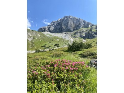 Apartment Ap. Alpengarten/1 Schlafraum/Dusche, WC - Outdoor photo 15