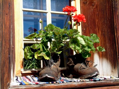 Holiday apartment house tasser - Features photo 18