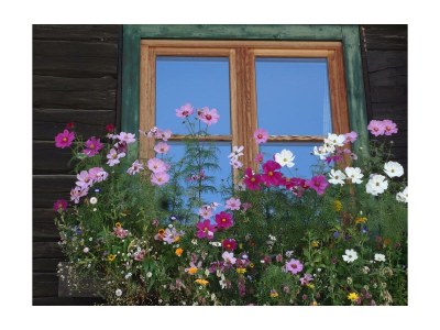 Apartment Apartment/1 Schlafraum/Dusche, WC - Outdoor photo 20