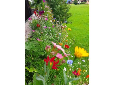 Apartment Apartment/1 Schlafraum/Dusche, WC - Outdoor photo 47
