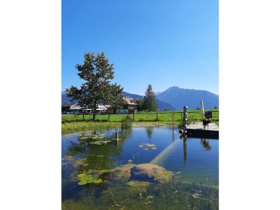 Apartment Apartment/1 Schlafraum/Dusche, WC - Outdoor photo 65