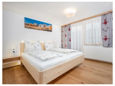 Apartment Appartement Dachstein - Features photo 26