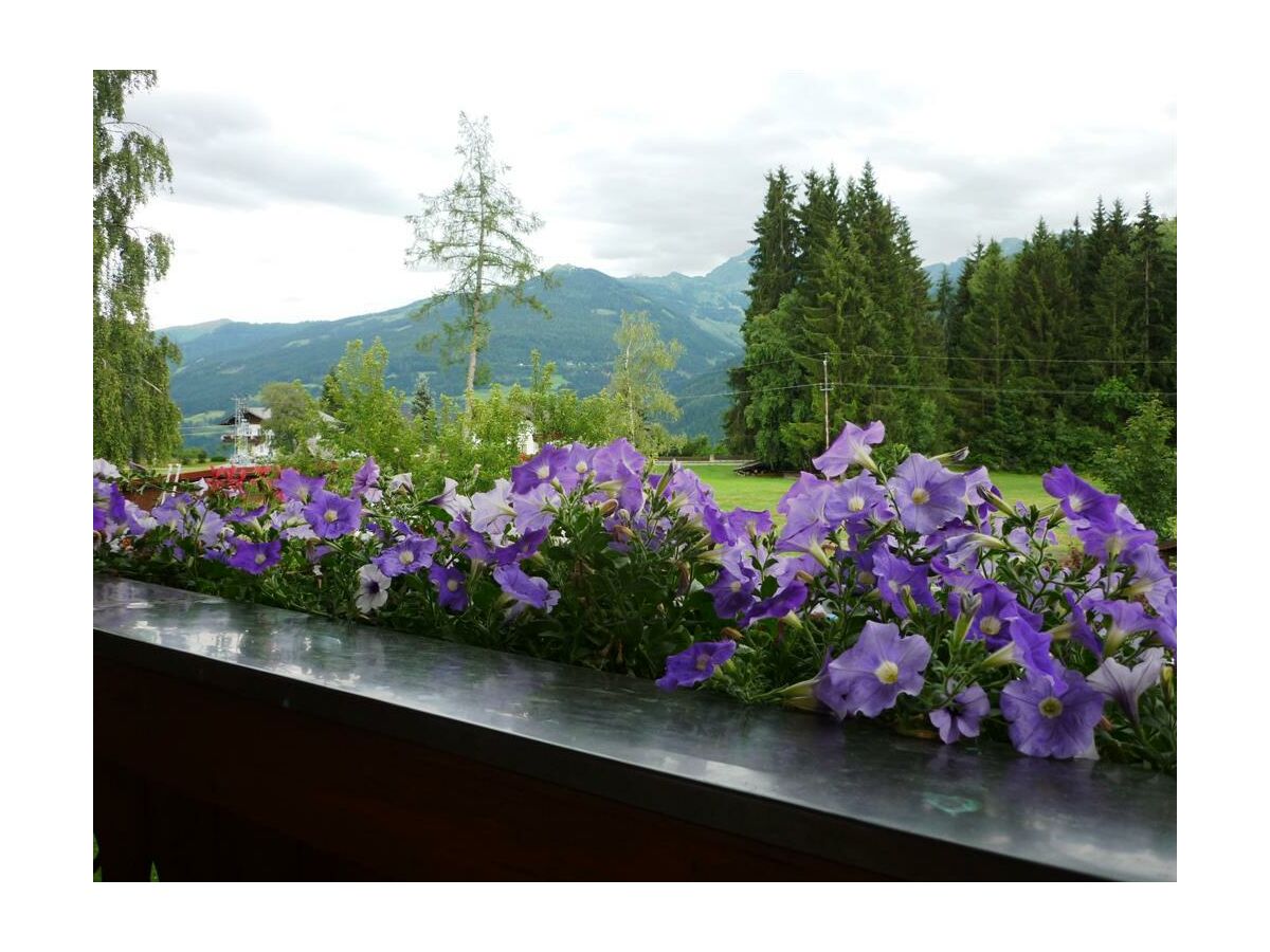 Apartment Ferienwohnung/1 Schlafraum/Dusche, WC - Outdoor photo 2