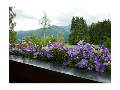 Apartment Ferienwohnung/1 Schlafraum/Dusche, WC - Outdoor photo 2