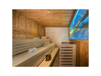 Apartment Chalet Apartment, Dusche, 2x WC, 1 Schlafraum - Outdoor photo 48