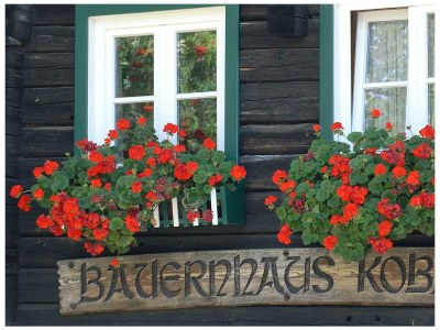 Holiday room Familienzimmer mit Dusche, WC - Outdoor photo 21