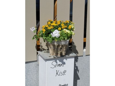 Apartment Appartement "Dachstein" - 2 Schlafr., Dusche, WC - Outdoor photo 27