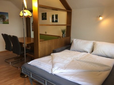 Apartment Appartement "Dachstein" - 2 Schlafr., Dusche, WC - Features photo 51