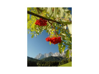 Apartment Appartement/Fewo, Dusche, WC, 1 Schlafraum - Outdoor photo 45