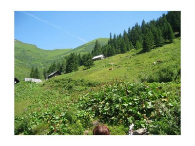 Holiday room Zimmer 1 - Dreibettzimmer, Dusche, WC - Outdoor photo 15
