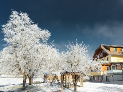 Holiday room Auf geht's zum Pistenspaß, Zimmer "Komfort" - Outdoor photo 16