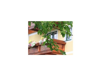 Holiday room Auf geht's zum Pistenspaß, Zimmer "Komfort" - Outdoor photo 33