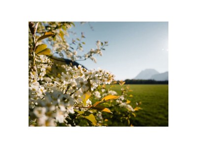 Holiday room Happy Spatzenwinter Komfort plus - Outdoor photo 45
