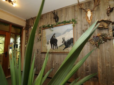 Holiday room Suite mit Dusche, WC - Outdoor photo 9