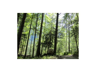Apartment Appartement Hohl Nr. 5 - Outdoor photo 50