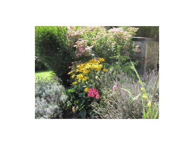 Apartment Appartement Hohl Nr. 2 - Outdoor photo 45