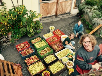 Apartment Appartement Ennstalblick, - Outdoor photo 9