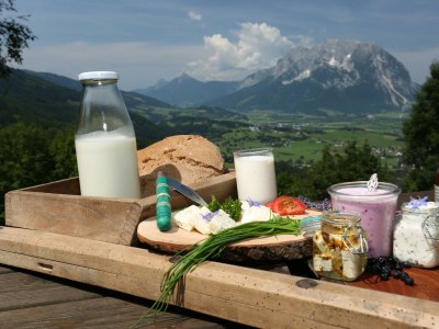 Apartment Ferienwohnung "Dachsteinblick" - Outdoor photo 7