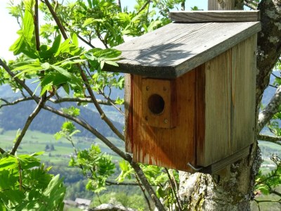 Apartment Ferienwohnung "Dachsteinblick" - Outdoor photo 23