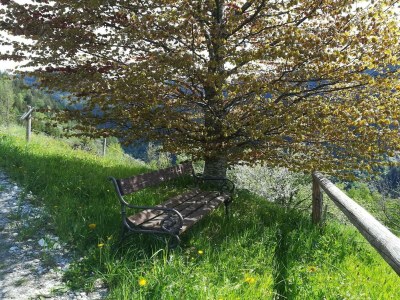Apartment Ferienwohnung "Grimmingblick" - Outdoor photo 20