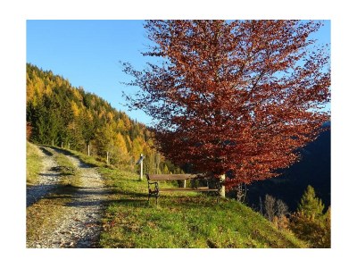 Apartment Blockhaus "Sonnenschein" - Outdoor photo 29