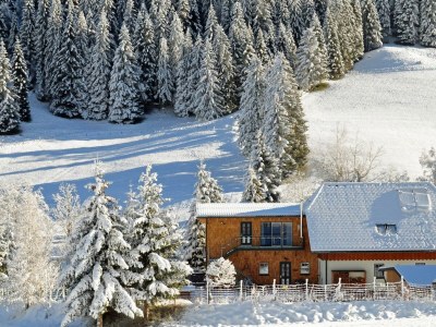 Apartment Apartement Bergsonne in Irdning-Donnersbachtal - Apartment