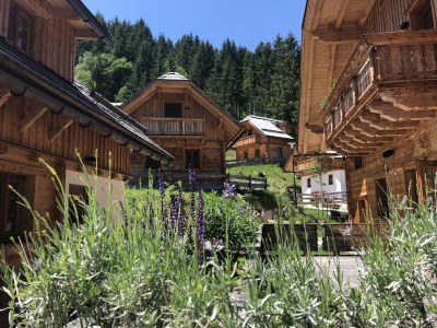 Apartment Wellness - Chalet - Features photo 32