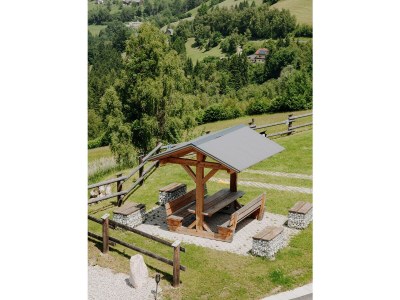 Apartment Appartement Donnersbach - Outdoor photo 29