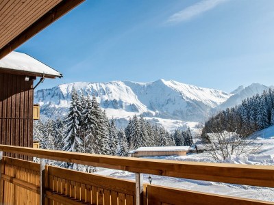 Apartment Trollblume: Gemütliches 1-Zimmer-Chalet Nr. 202 - Outdoor photo 9