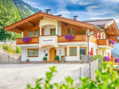 Apartment Gerlosstein in Zellberg - Apartment