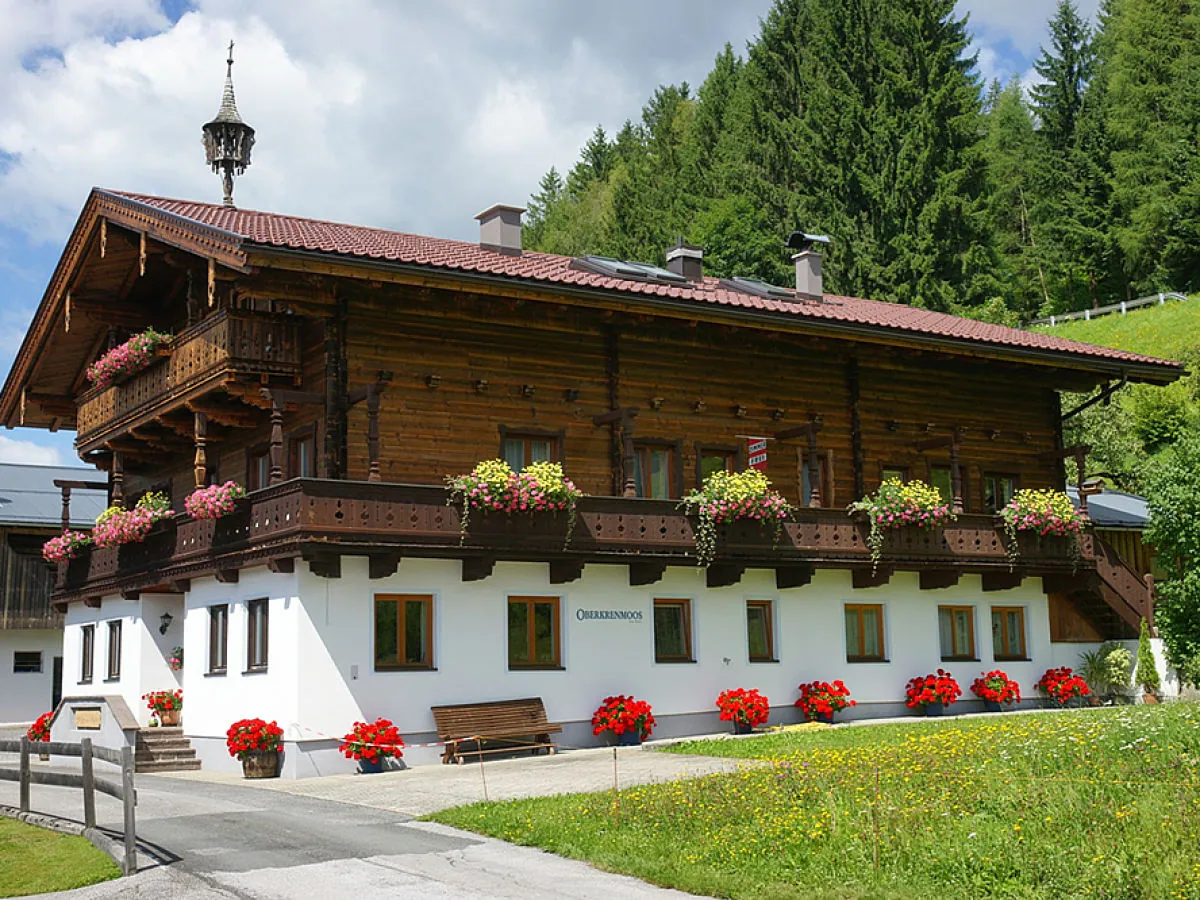 Holiday apartment Oberkrenmoos - Farmhouse