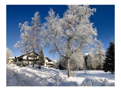 Apartment 3-Raum-Appartement - Outdoor photo 11