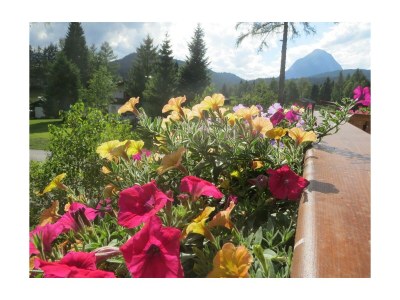 Apartment 4-Raum-Appartement - Outdoor photo 26