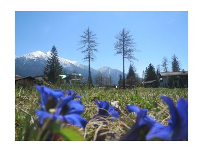 Apartment 4-Raum-Appartement - Outdoor photo 32
