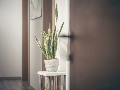 Apartment Typ Alpenmohn - Features photo 47