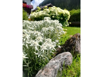 Holiday room Dreibettzimmer mit Dusche und WC - Outdoor photo 13
