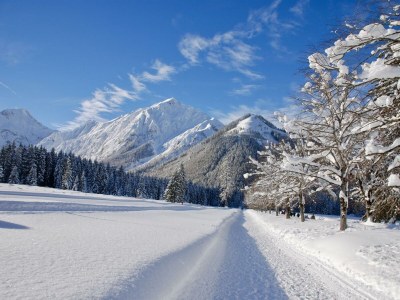 Holiday room Zimmer 103 - Outdoor photo 19