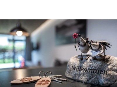 Apartment Alpenchalet SEENSUCHT - Outdoor photo 6