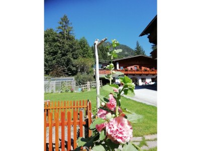 Apartment Ferienwohnung Achensee - Outdoor photo 14