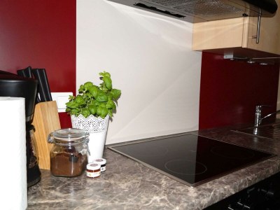 Apartment Ferienhaus 2-8 Pers. - Features photo 19