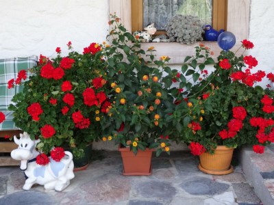 Apartment Guffertblick - Outdoor photo 29