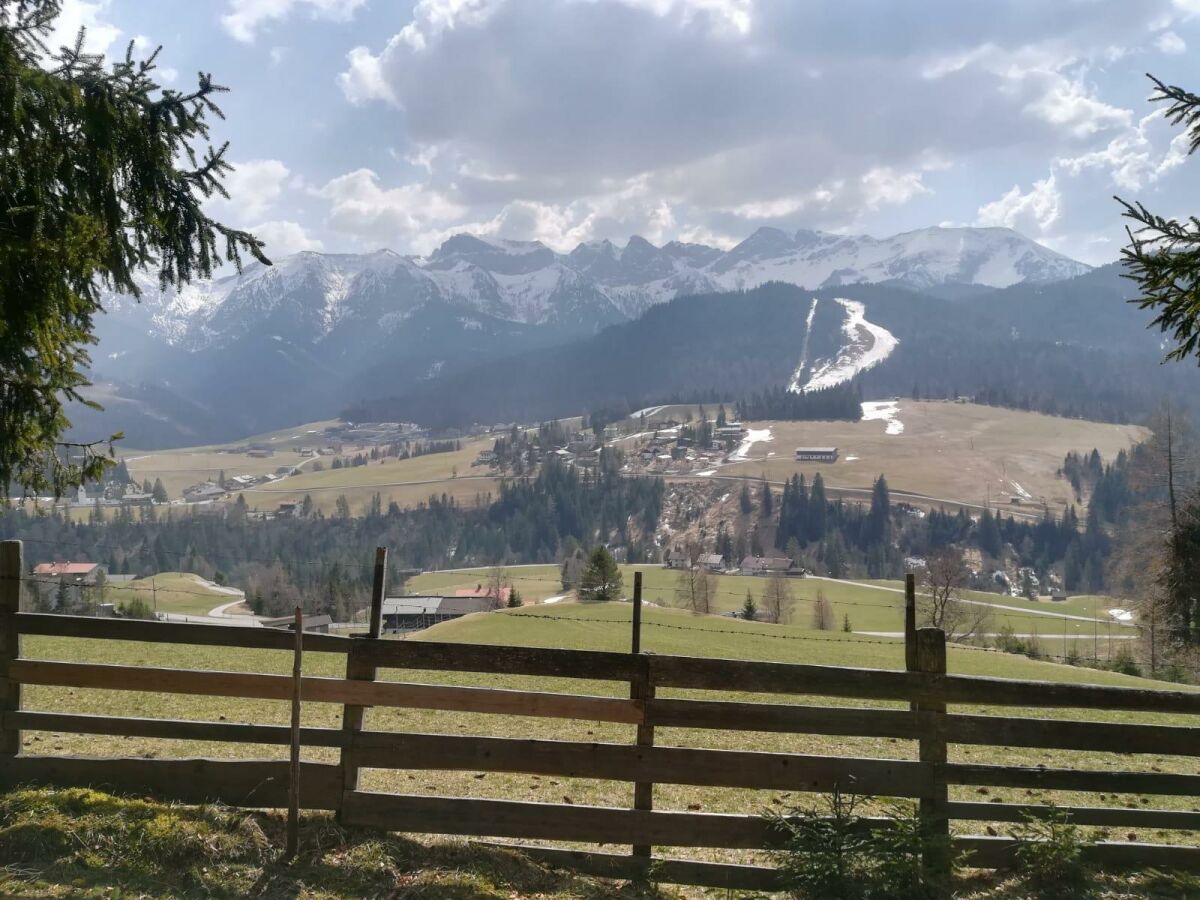 Apartment Ferienwohnung Guffert