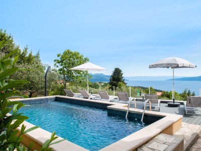 Holiday house Casa LenÃ¹ with pool and stunning sea view in Drenje - Holiday house