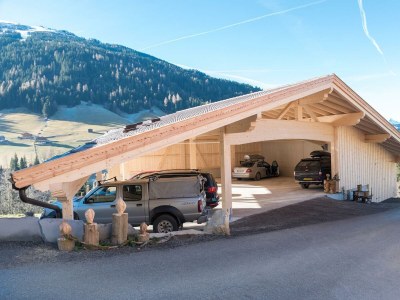 Apartment Zirbenchalet - Outdoor photo 15