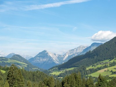 Apartment Ferienwohnung Alpbach - Outdoor photo 35