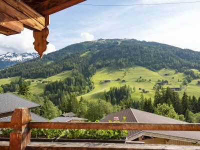 Apartment Ferienwohnung Alpbach - Features photo 74