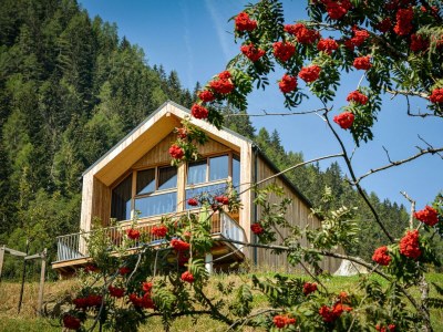 Apartment Chalet Ankogel ohne Steinbadewanne - Features photo 57